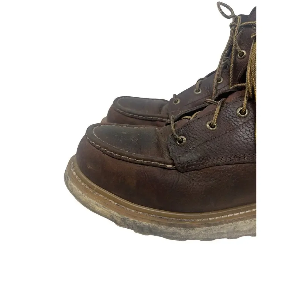 Irish Setter Ashby 6